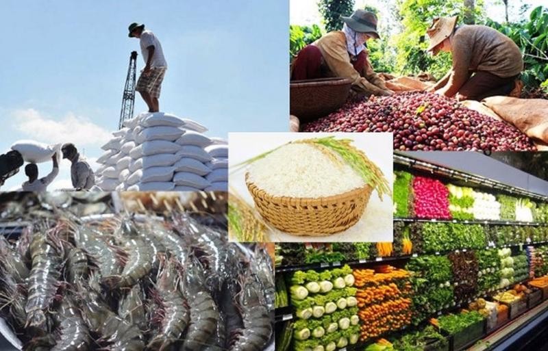 In the first 6 months of the year, trade surplus reached 11.63 billion USD; agricultural, forestry and fishery exports increased by 19%.