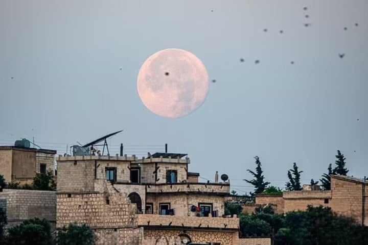 La superluna gigante sale y se pone sobre la aldea de Deir Ballout, en el noroeste de Siria, el 4 de julio de 2023. (Foto: Shutterstock)