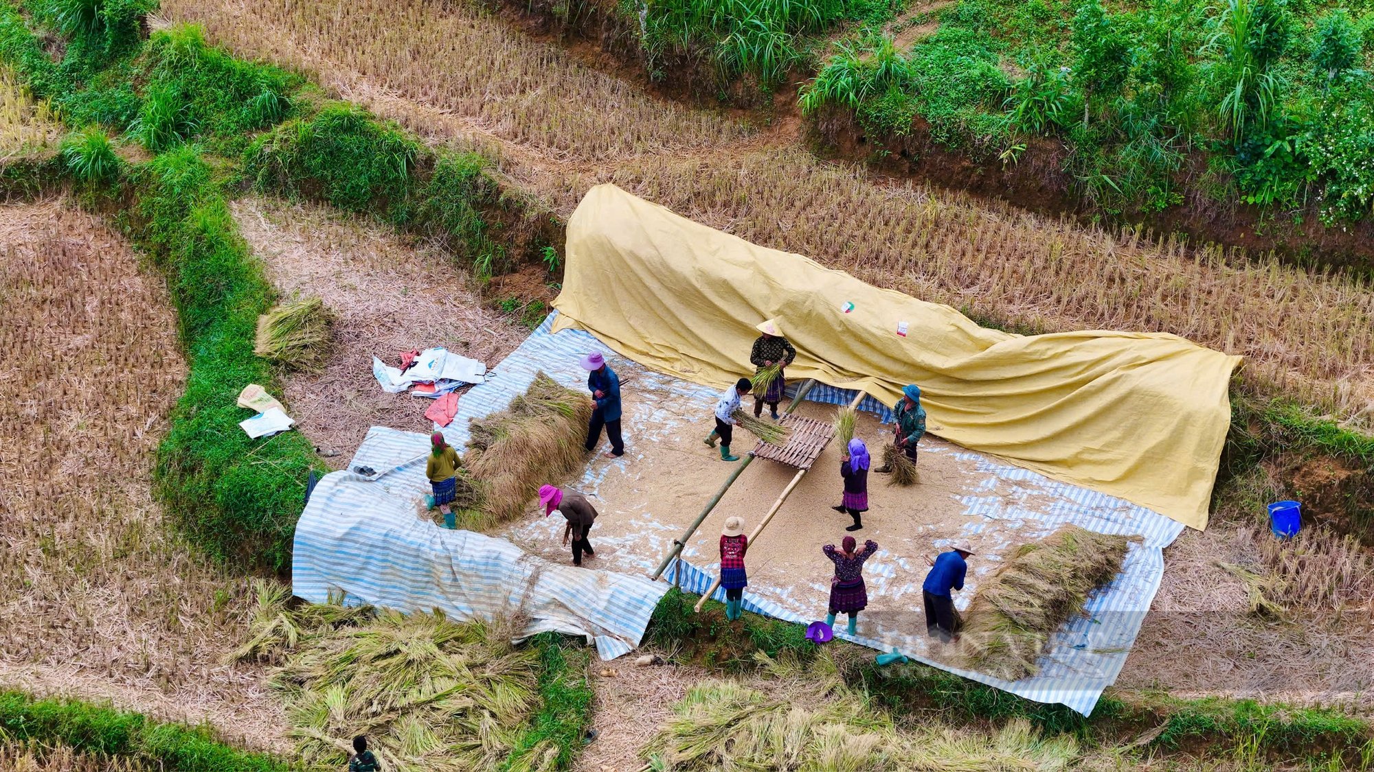 Vẻ đẹp ruộng bậc thang sau cơn lũ ở vùng cao Lào Cai  - Ảnh 4.