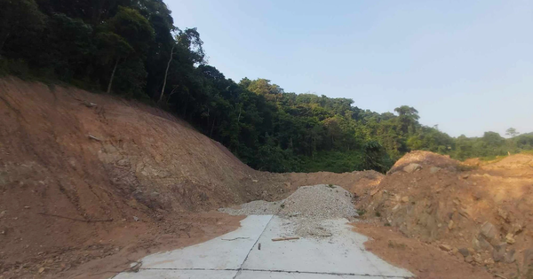 Hai Duong propone convertir más de 5 hectáreas de tierra forestal para construir la carretera de conexión inacabada.