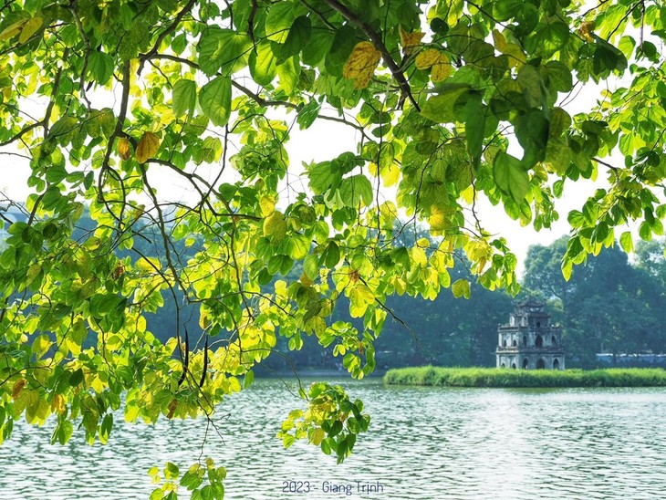 Vietnam's destinations won the WTA Awards 2023 - photo 2