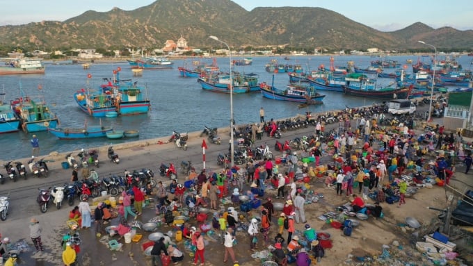 เรือประมงในจังหวัดนิงห์ถ่วน ภาพโดย: ง็อก ทานห์