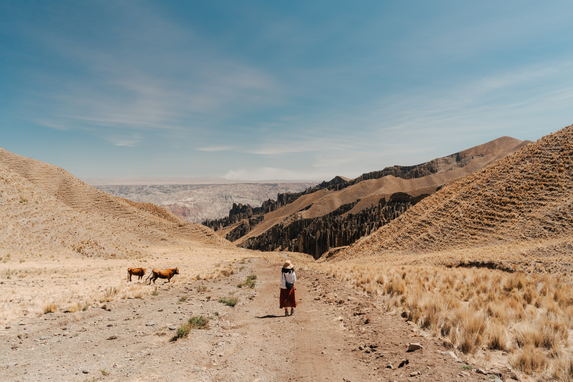 Anh Dũng chụp cho vợ ở Valley de las Animas ở gần Lapaz, thủ đô Bolivia