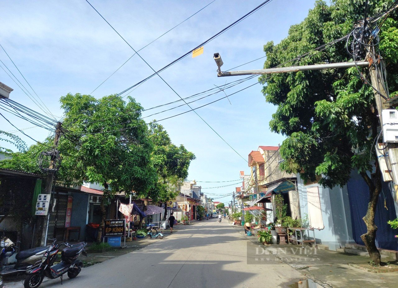 Một huyện của Ninh Bình có thu nhập bình quân đầu người hơn 70 triệu đồng/người/năm, là huyện nào?- Ảnh 4.