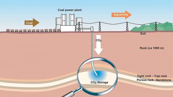 ‘Bắt’ carbon phục vụ hành tinh xanh