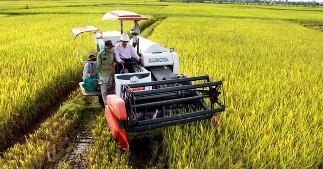 Cần điều kiện gì để trồng lúa giảm phát thải được hỗ trợ từ 5-15 tỷ đồng?