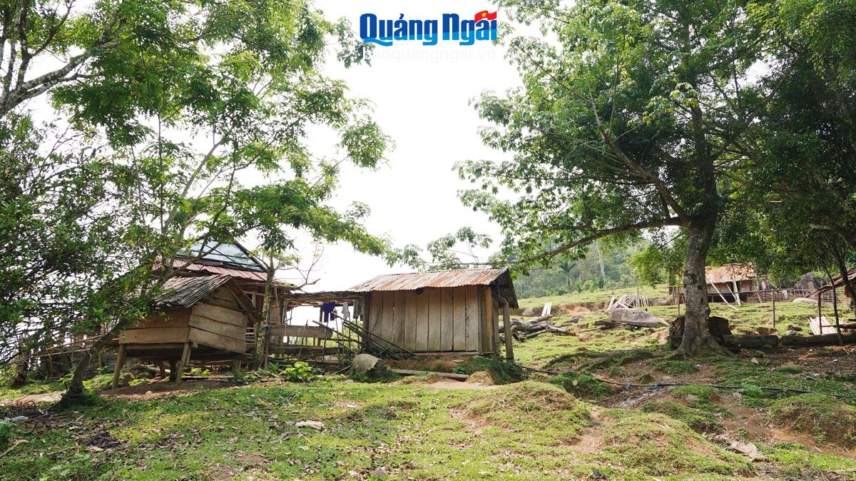 The above Nuoc Mu Hamlet has only a few stilt houses. Photo: Pham Anh