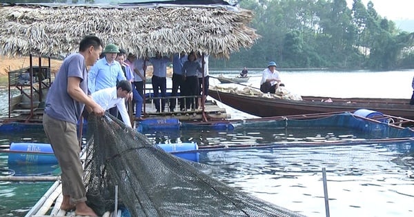 El lago Thac Ba, el cuarto lago artificial más grande de Vietnam, donde los Yen Bai capturan y venden 8.500 toneladas de pescado al año.