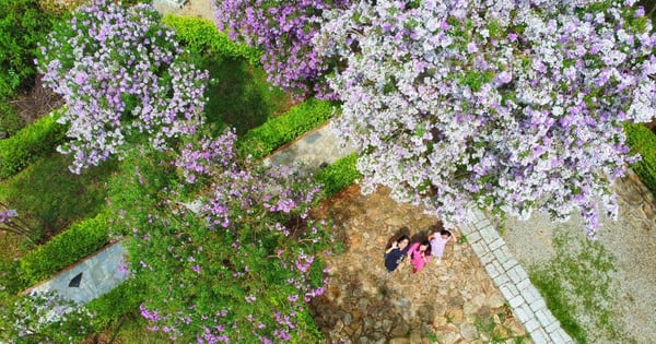 Blumen im Bergtempel