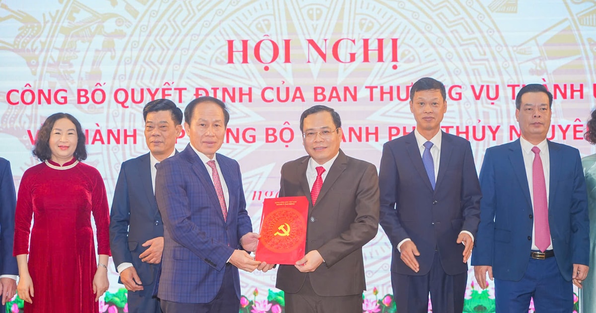 Création du Comité du Parti de la ville de Thuy Nguyen et du district d'An Duong