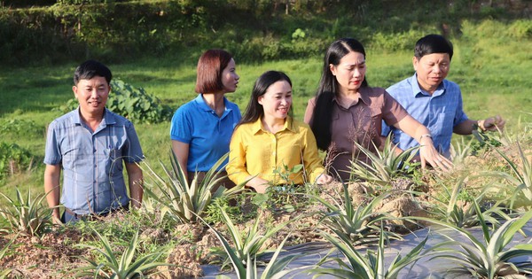 La cooperativa ayuda a las mujeres de Vu Quang a desarrollar la producción y estabilizar los productos de producción