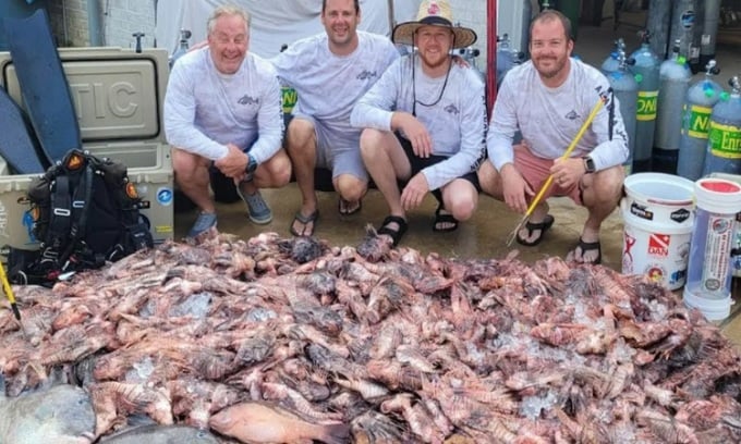 ダイバーたちが釣ったミノカサゴと一緒に記念写真を撮る。写真：Yahoo