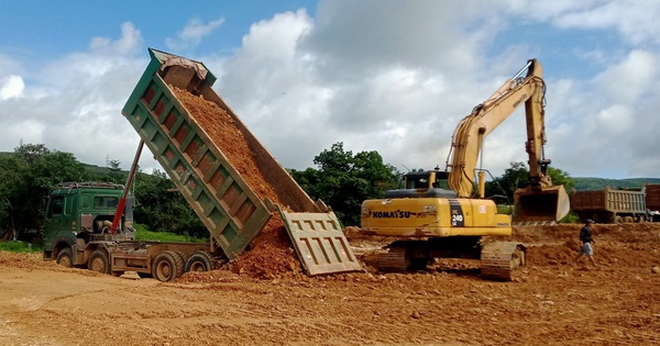 Giá trúng thấp hơn giá Nhà nước