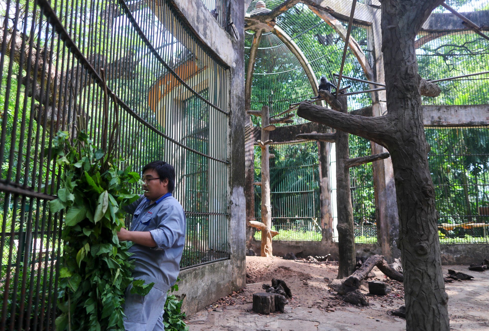 ソーシャルメディアで話題になっている動物園の赤ちゃん猿の何がそんなに特別なのでしょうか?写真5