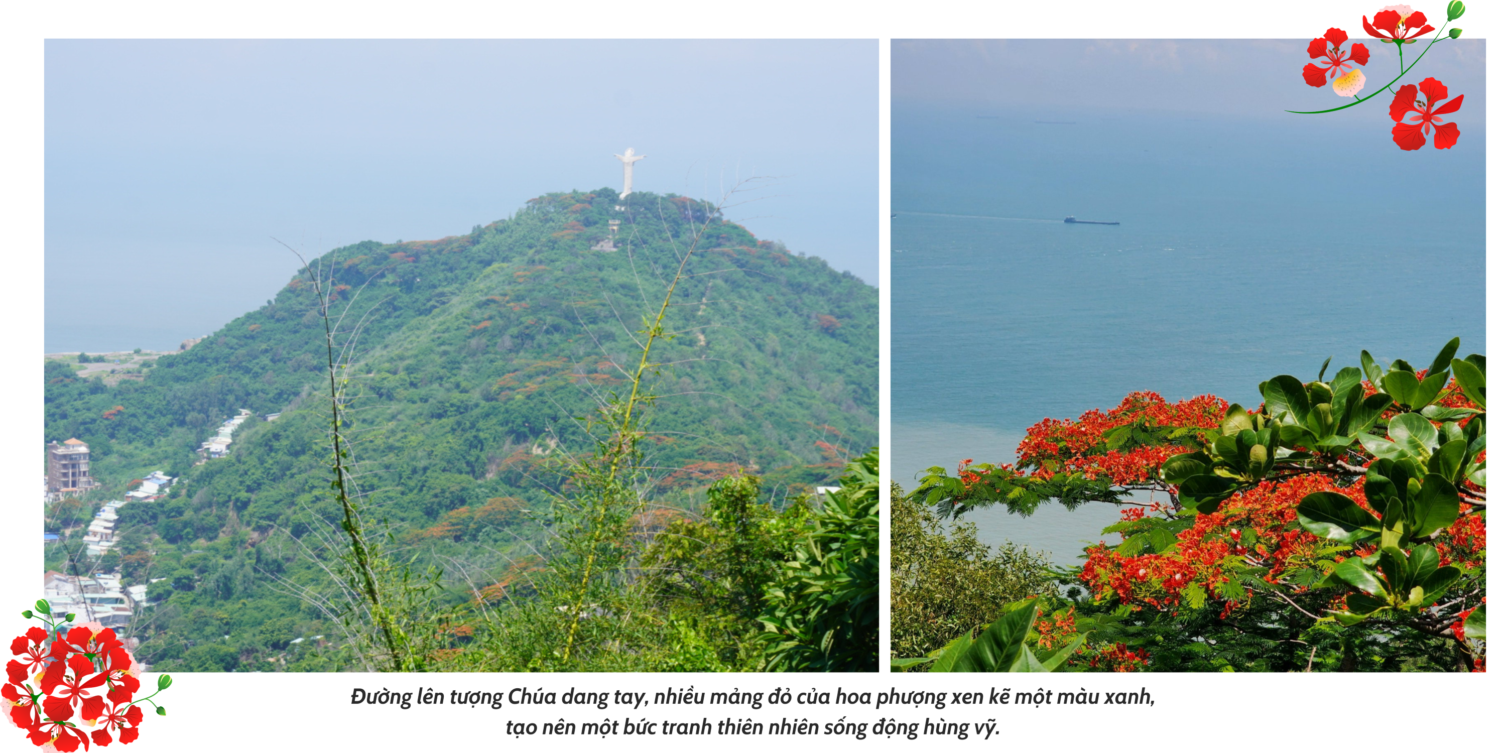 Vung Tau - the red phoenix flower city of the South - Photo 5