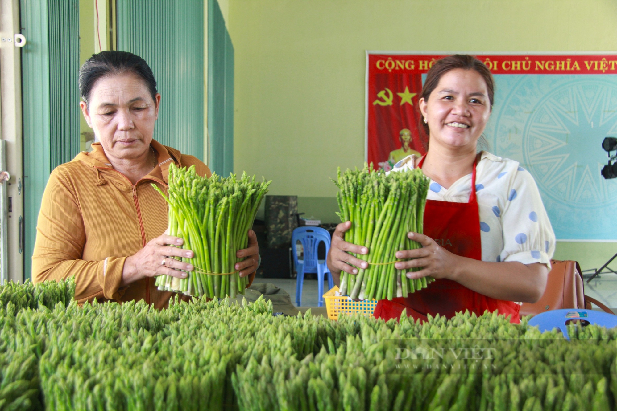 Có Hợp tác xã này 