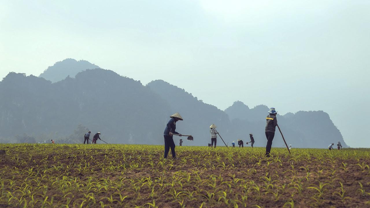 Tân Hóa: Từ rốn lũ đến ngôi làng du lịch tốt nhất - Ảnh 16.