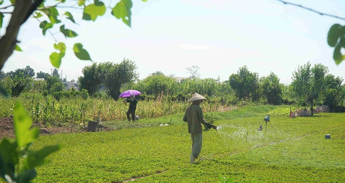 Ministerio de Hacienda responde a propuesta de reducir IVA a insumos agrícolas, electricidad y agua