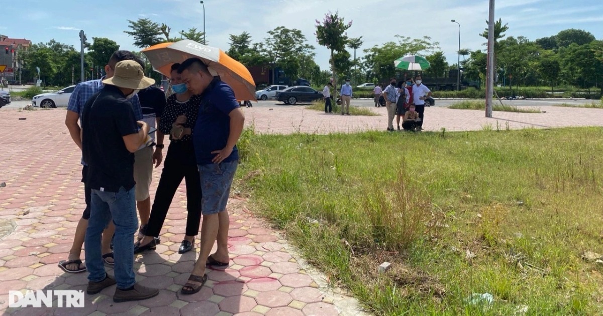 전문가들, 올해 토지분할에 대해 놀라운 발언