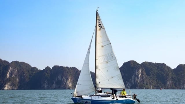 There will be a sailing race on Ha Long Bay.