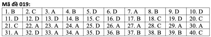 Respuestas del examen de inglés de décimo grado en Hanoi - 7