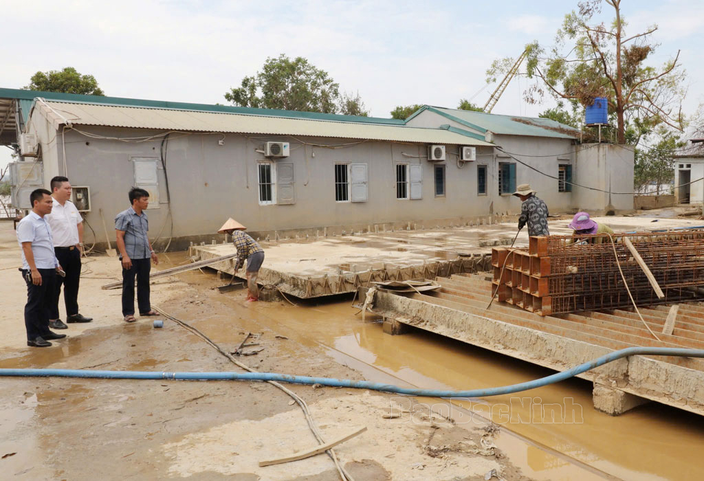 Bac Ninh macht sich umfassend für Steuervergünstigungen für Menschen und Unternehmen stark, die vom Sturm Nr. 3 betroffen sind, Foto 1