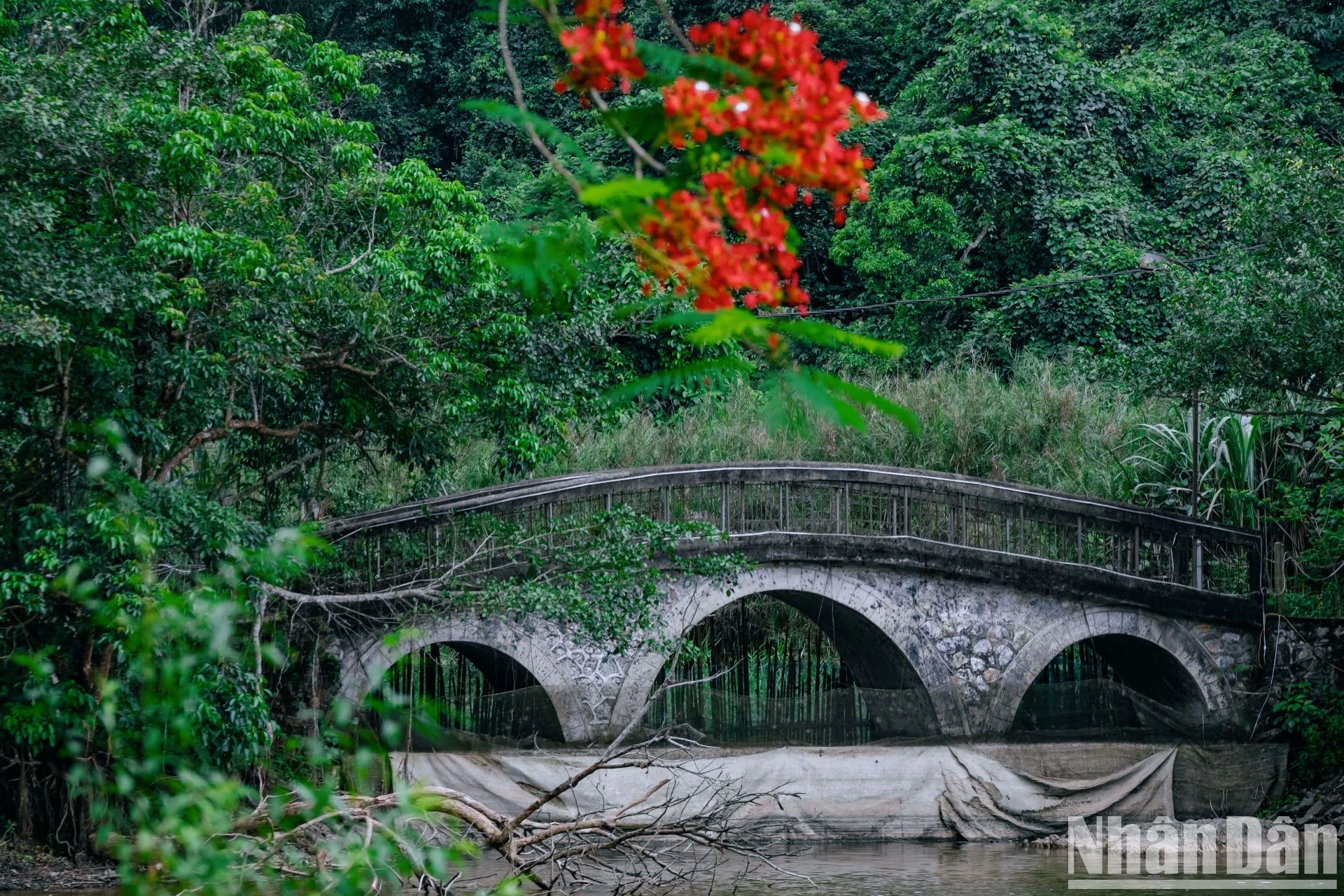 Tour đêm Cúc Phương: Trầm mặc và bí ẩn ảnh 2