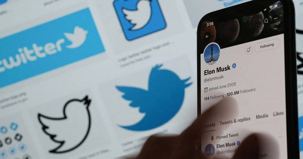 Cựu kỹ sư Twitter nói Elon Musk sai lầm khi sa thải mình