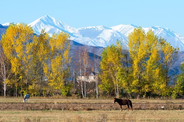 Những khu bảo tồn thiên nhiên và công viên quốc gia tuyệt đẹp tại Kyrgyzstan- Ảnh 3.