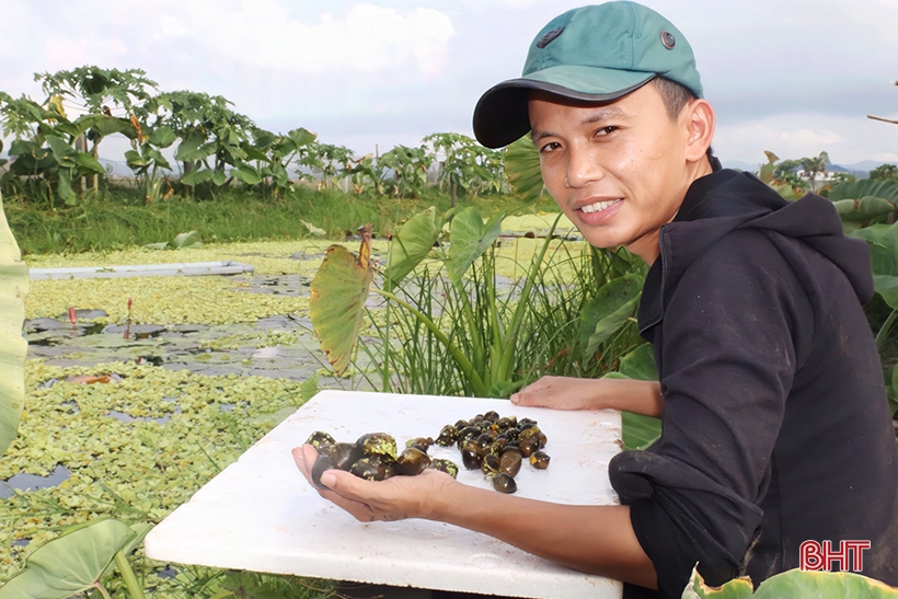 Nông dân Hà Tĩnh biến đất hoang thành các mô hình kinh tế hiệu quả