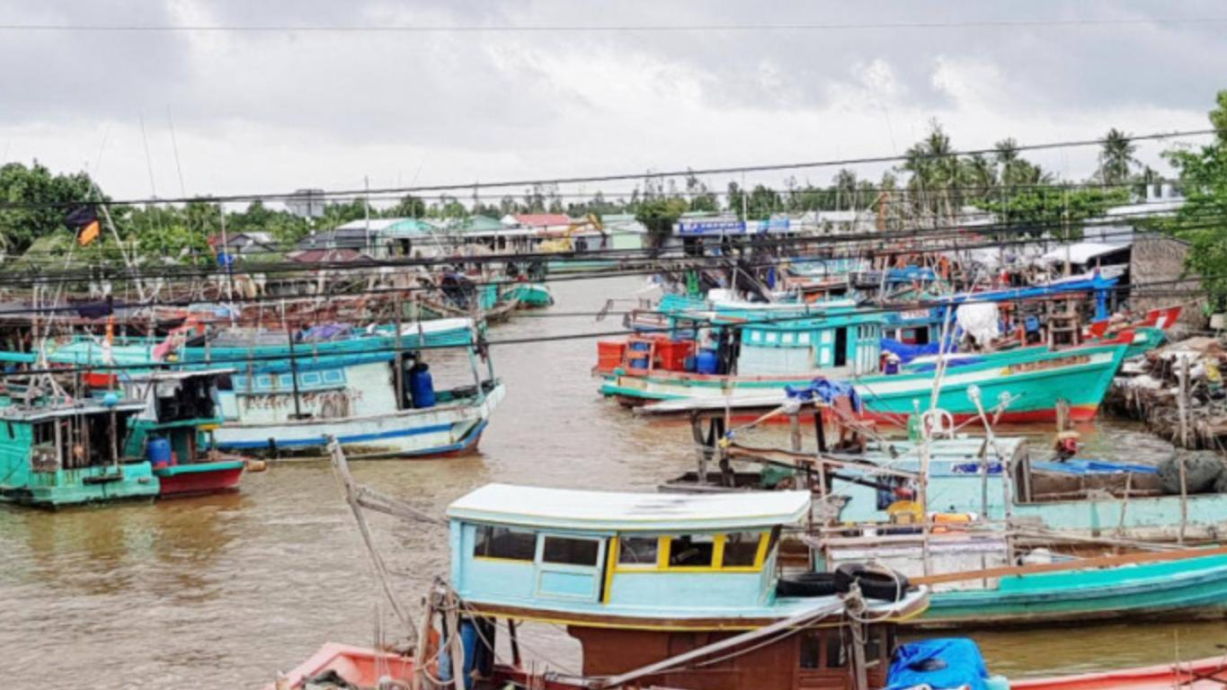 Cà Mau siết chặt quản lý tàu cá 