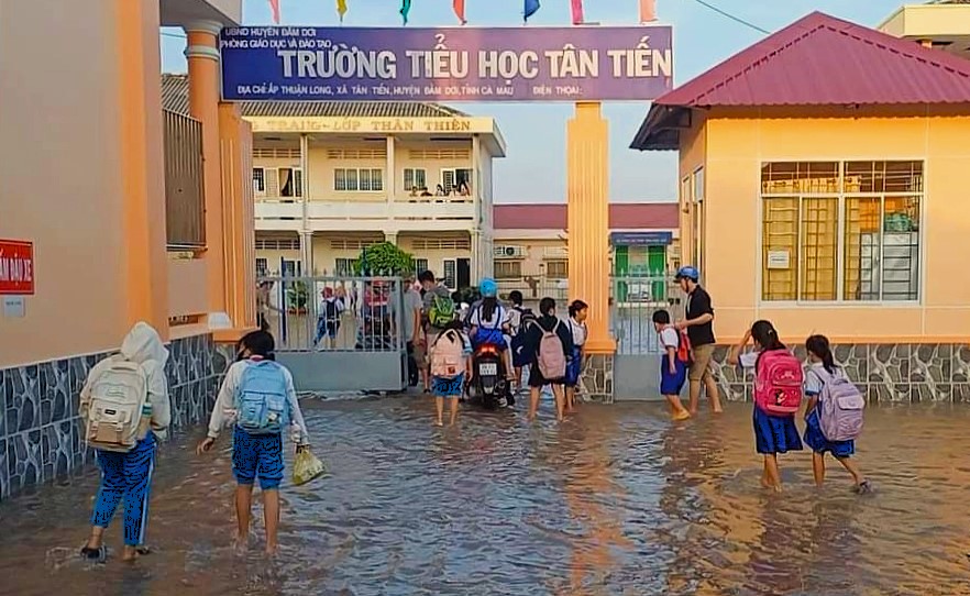 Thầy trò Cà Mau chật vật ứng phó với triều cường dâng cao- Ảnh 1.