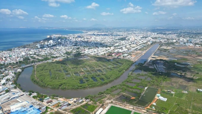 La rivière Ben Loi serpente à travers la forêt de mangroves de Phan Thiet. Photo : Viet Quoc