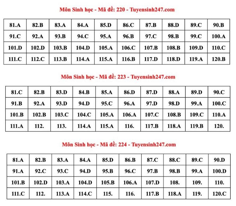 Đáp án tham khảo môn Sinh học tốt nghiệp THPT năm 2024 - mã đề 220, 223, 224 (tiếp tục cập nhật). Ảnh: Tuyensinh247  