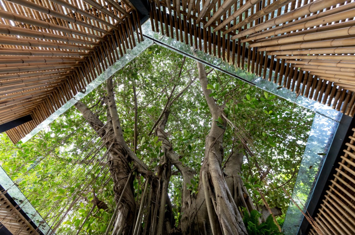 L'espace du Musée ethnologique a remporté le prix international d'architecture, image 1