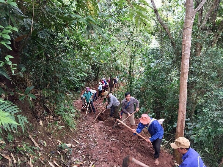 Điện Biên: Tăng cường công tác phòng, chống cháy rừng