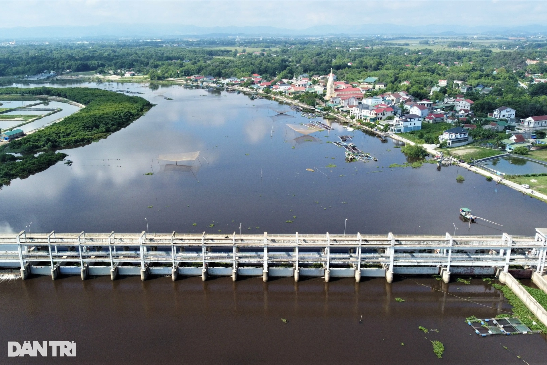 Hàng chục tấn cá lồng chết phơi bụng, người nuôi điêu đứng - 10