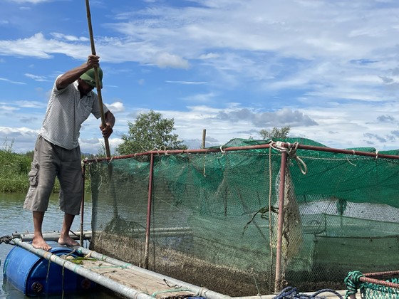 Nuôi cá đặc sản ở ngã ba sông ảnh 1