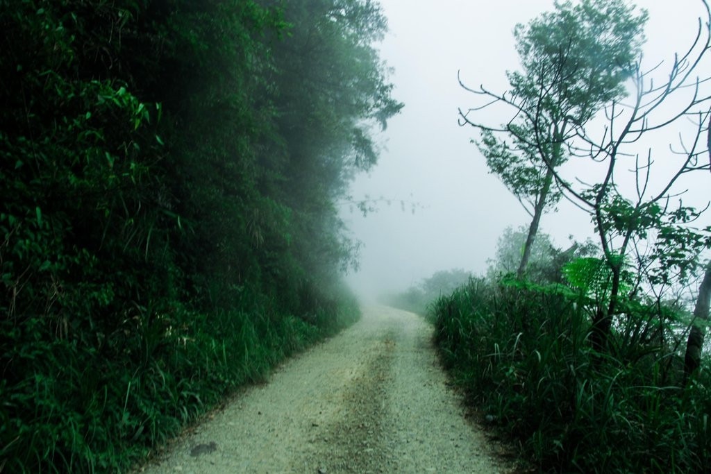 Đường vào rừng. Ảnh: vinhphuc.gov.vn