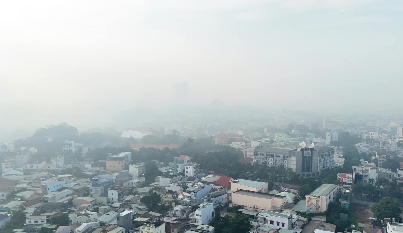 Brouillard dense à Binh Duong, froid et brumeux comme Da Lat photo 10