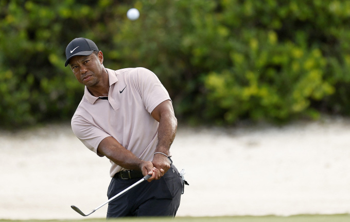 Tiger Woods chips the ball on the 15th hole of the first round of the Hero World Challenge at Albany Golf Course on November 30. Photo: AFP