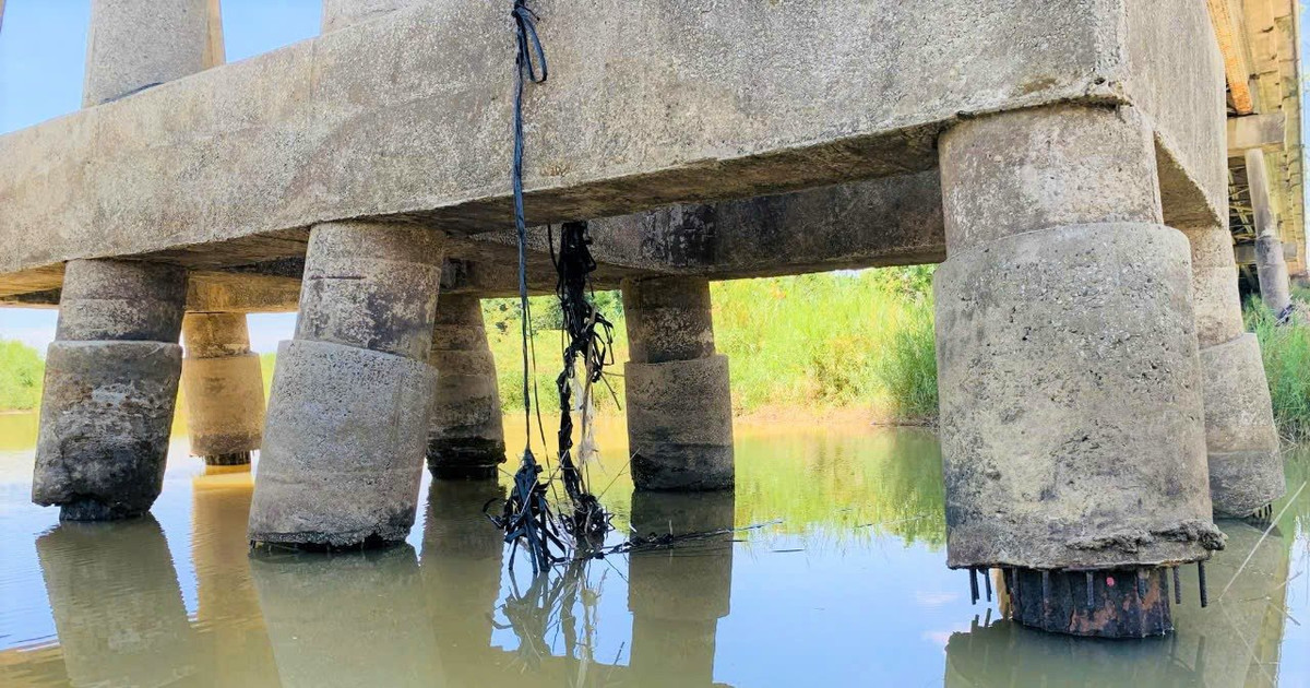 Es necesario garantizar la seguridad del puente Tra Khuc 1