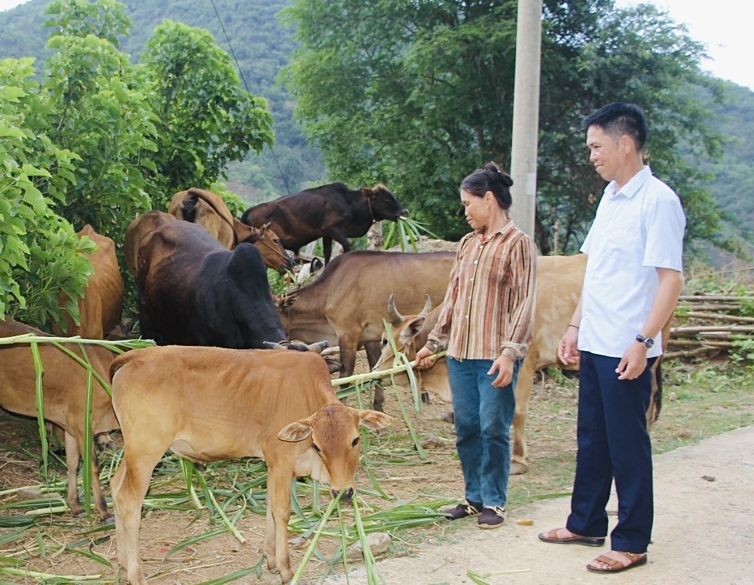 Ông Lò Văn Phới - Người uy tín bản Suối Tăng, xã Mường Khoa, huyện Bắc Yên (Sơn La) tuyên truyền nhân dân trong bản tích cực phát triển nuôi gia súc