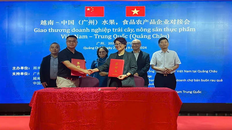 Betrimex und die Jiangnan-Guangzhou Fruit Import Association haben eine Absichtserklärung unterzeichnet, um den Export frischer vietnamesischer Kokosnüsse auf den chinesischen Markt zu fördern.