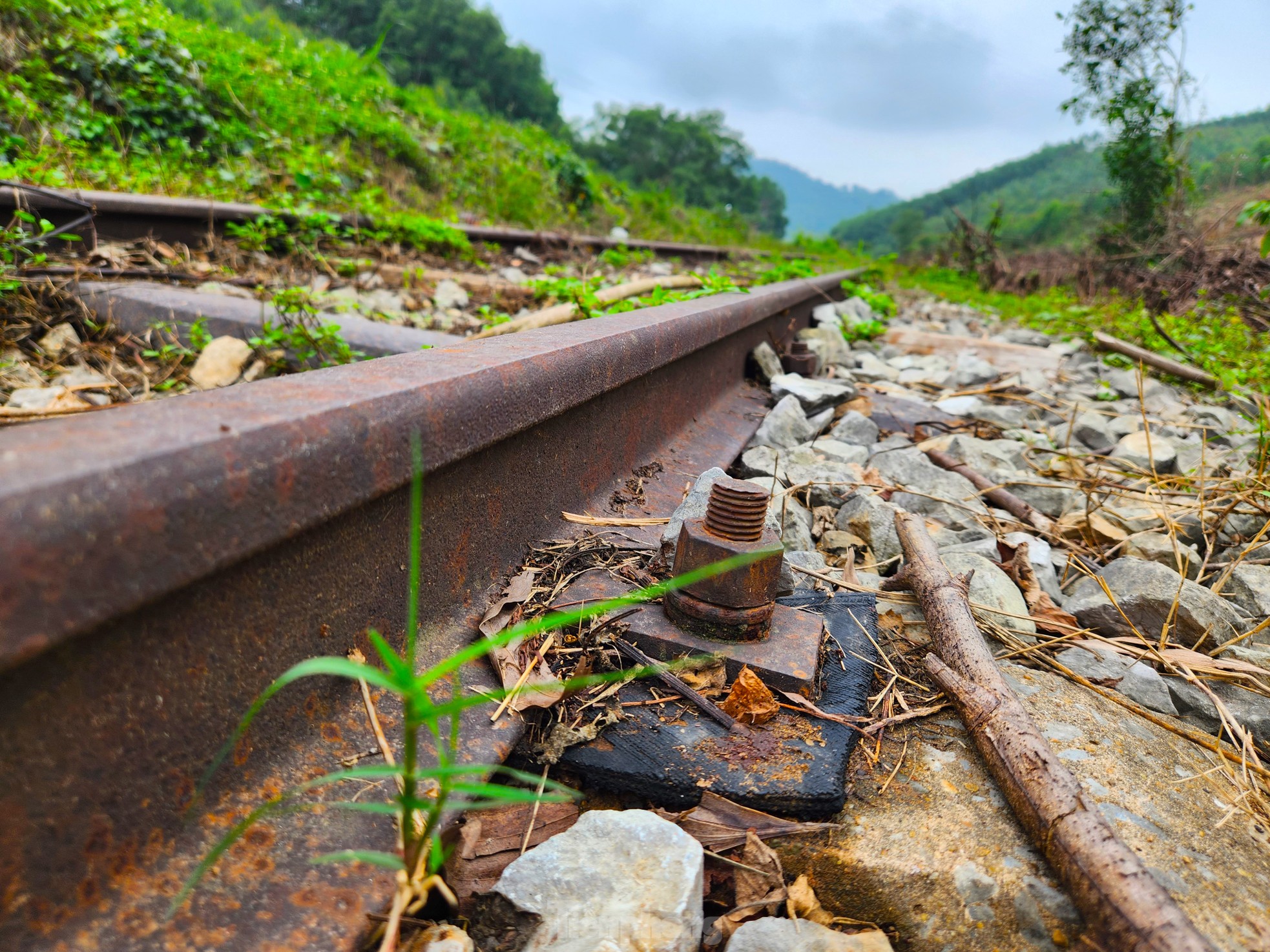 The desolation of the 'abandoned' railway line in Nghe An photo 16