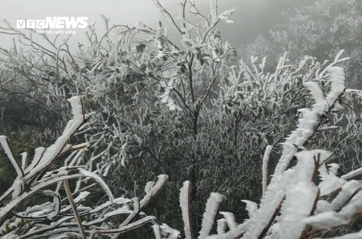 The North is experiencing widespread cold, with frost covering many places in the northern mountainous regions. (Illustration photo)