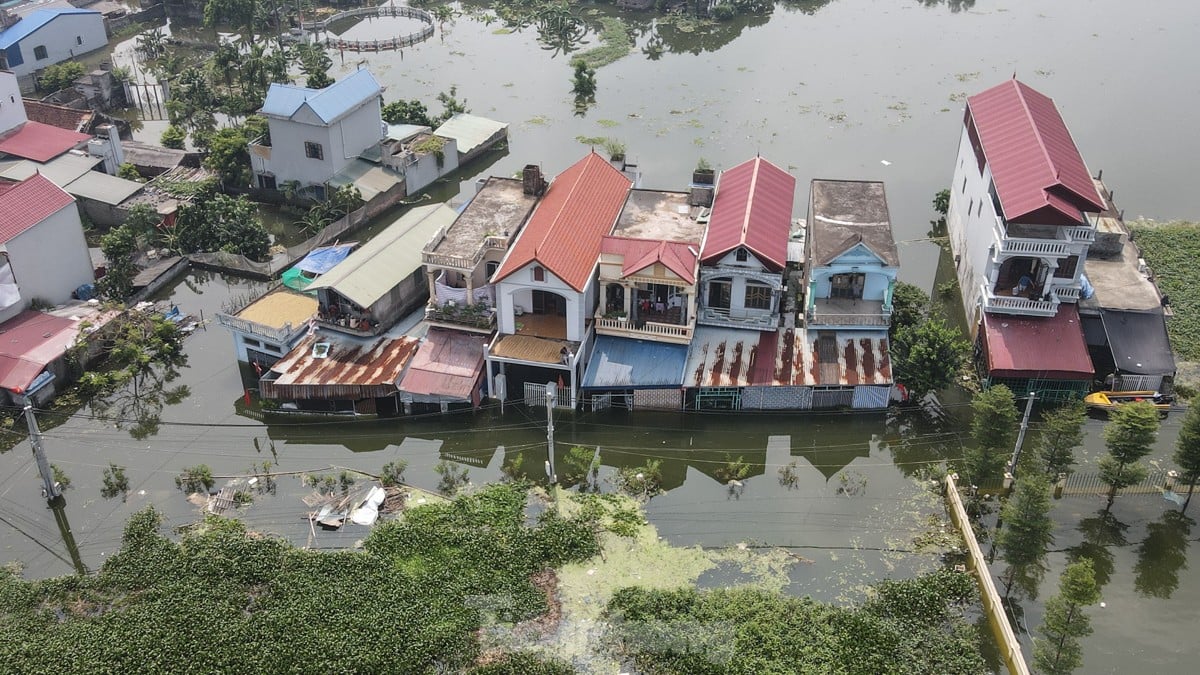 Une « inondation forestière » submerge des centaines de maisons dans la banlieue de Hanoi, photo 4