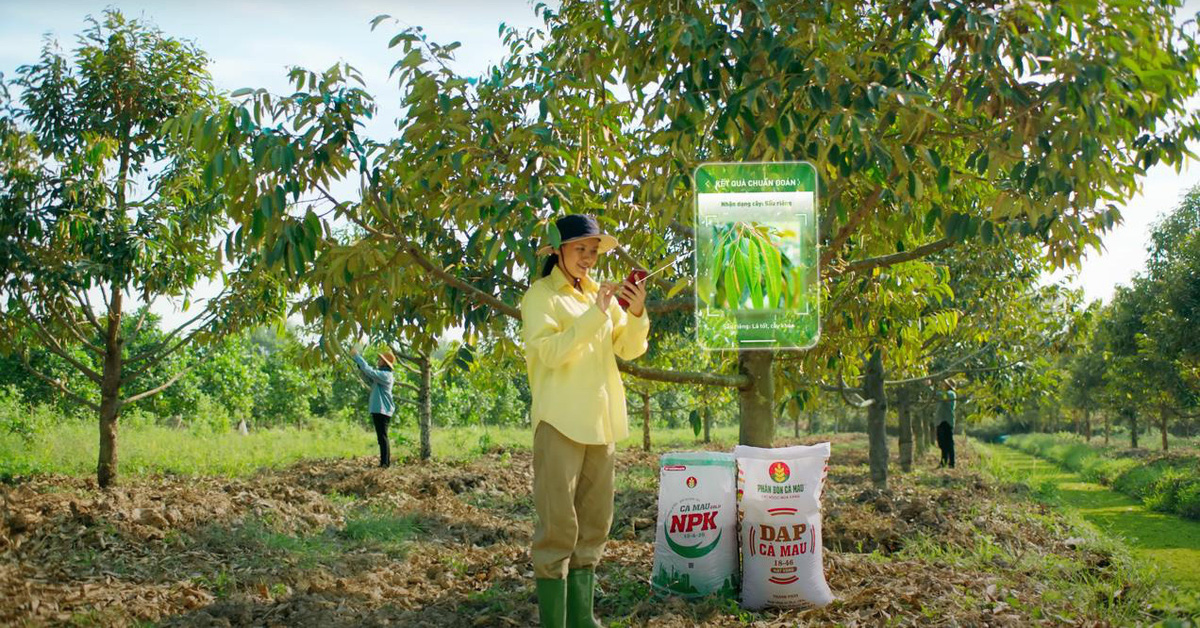 The golden season buses carry thousands of farmers' feelings