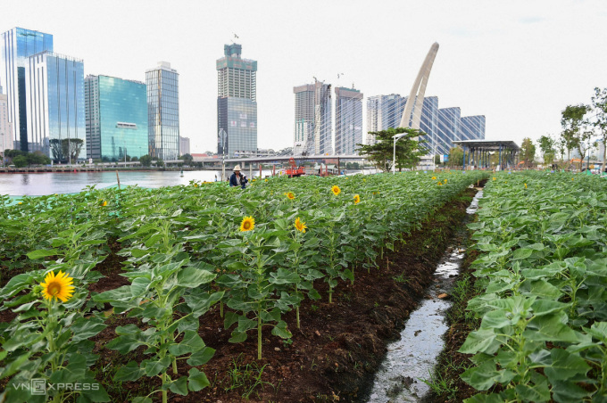 Saigon riverside park overlooking Ba Son bridge. Photo: Quynh Tran