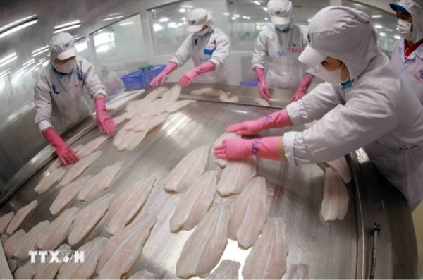 Wertschöpfungsexporte von Pangasius in die USA stiegen um 2182 %